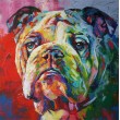 Bulldog