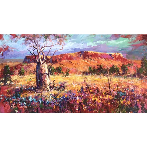 Boab Trees 33