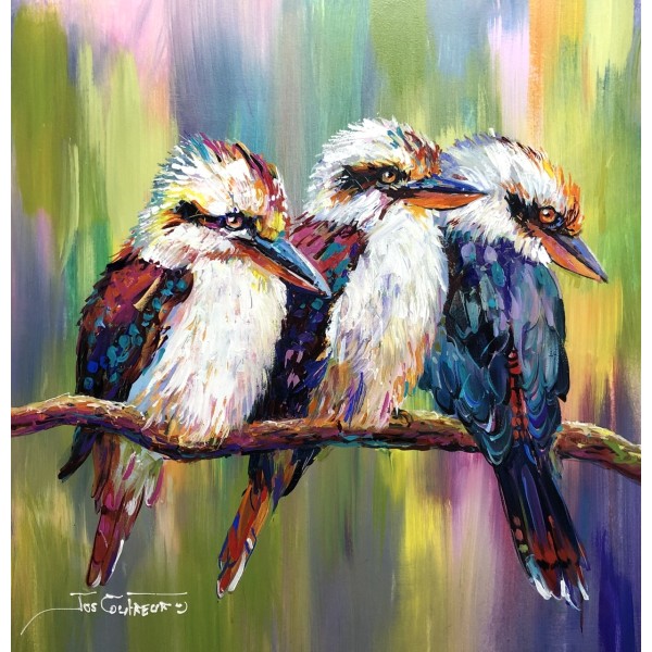 Three Kookaburras 