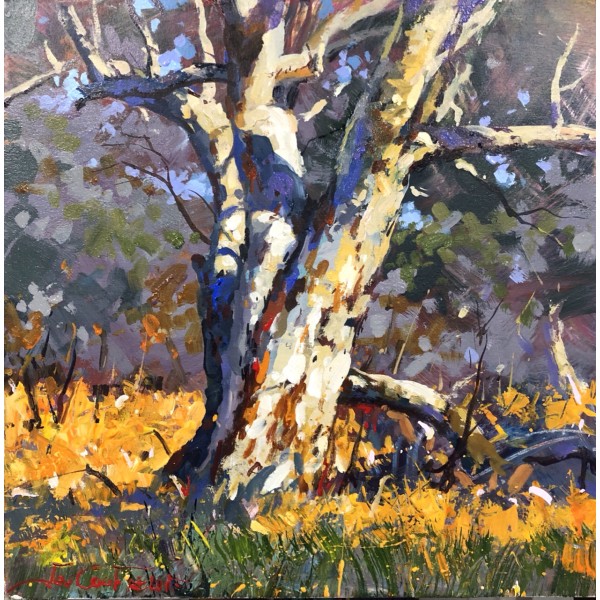 Old Gumtree