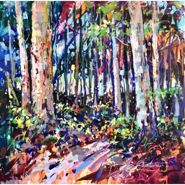 Boranup Forest 5