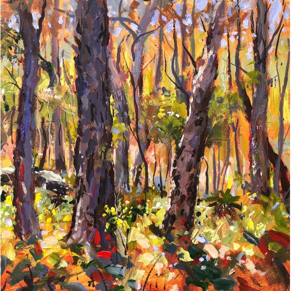 Australian Forest