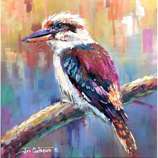 Kookaburra 8