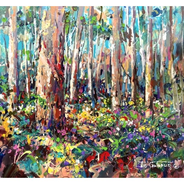 Boranup Forest 6