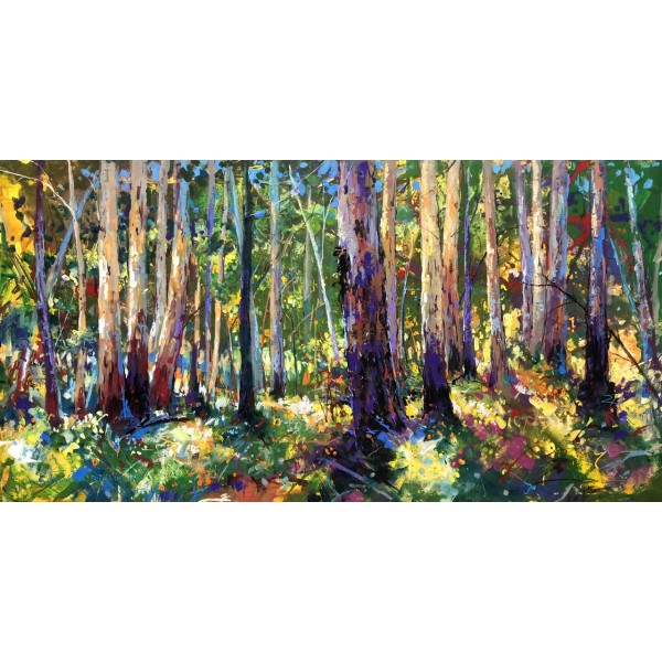 Gumtree Forest 7