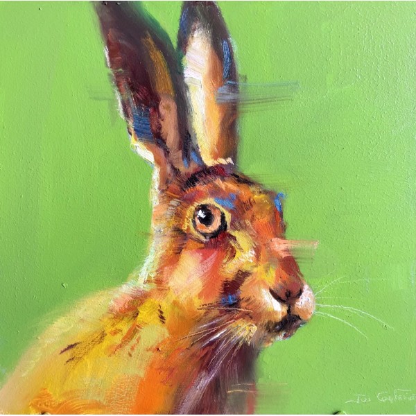 Hare