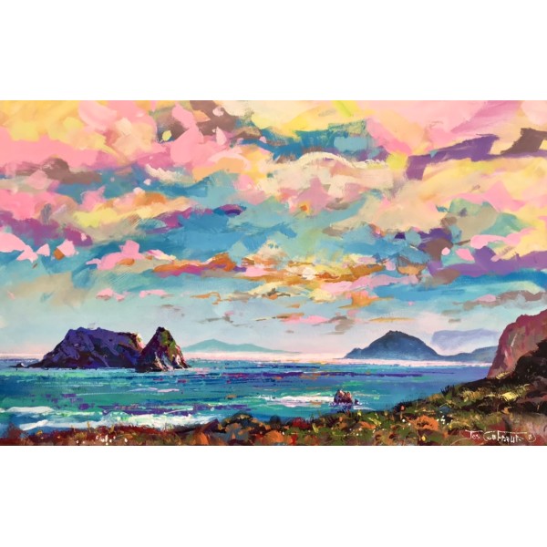 Tasmanian Coastline