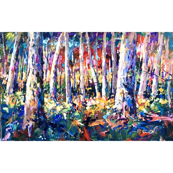 Karri Tree Forest