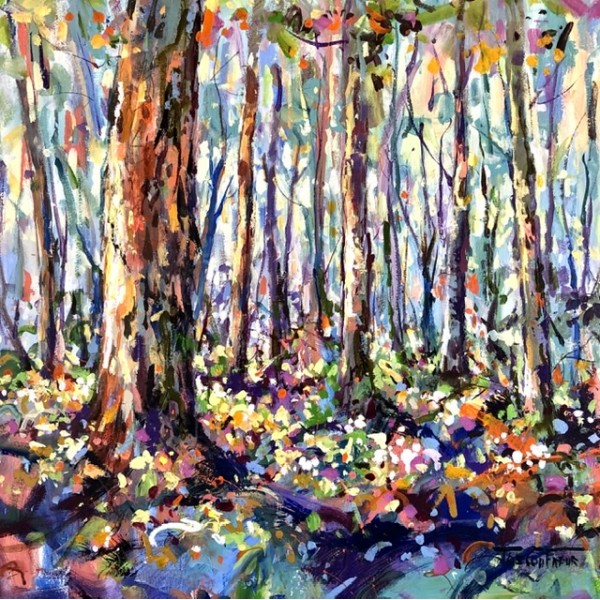 Boranup Forest 4