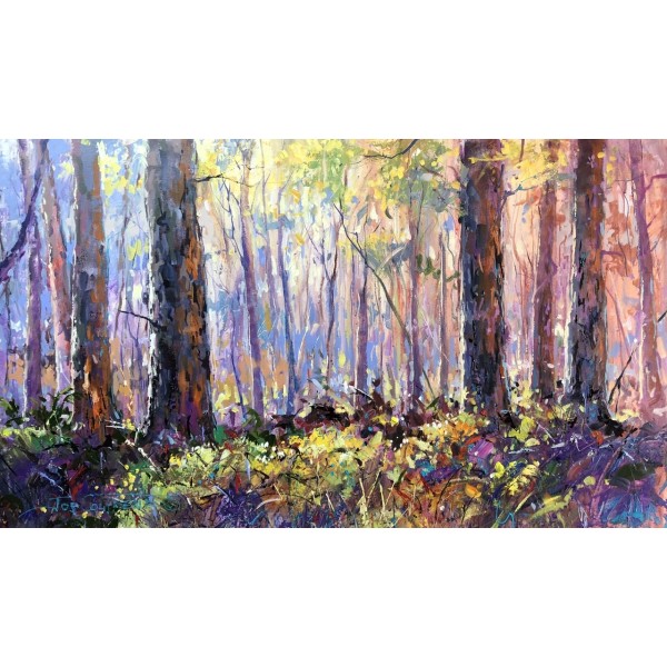 Boranup Forest 7