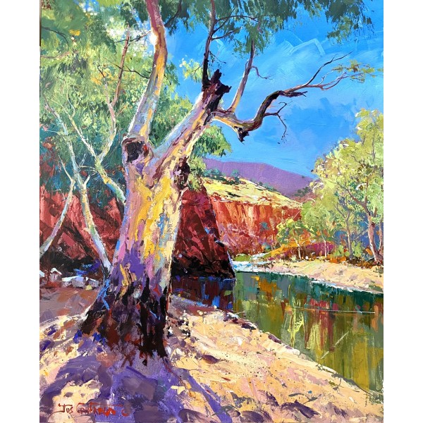 Ormiston Gorge 6