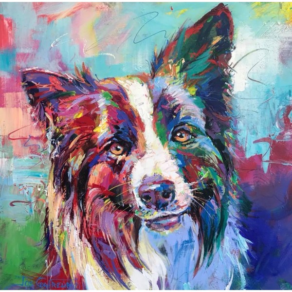 Border Collie II