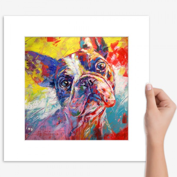 French Bulldog