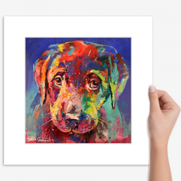 Labrador Puppy II