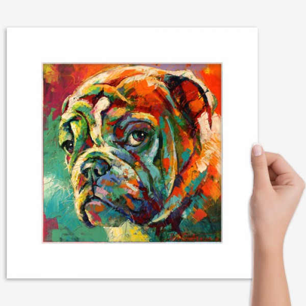 Boxer