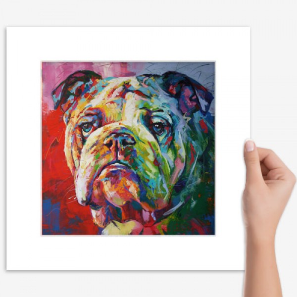 English Bulldog