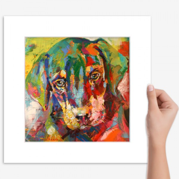Doberman Puppy