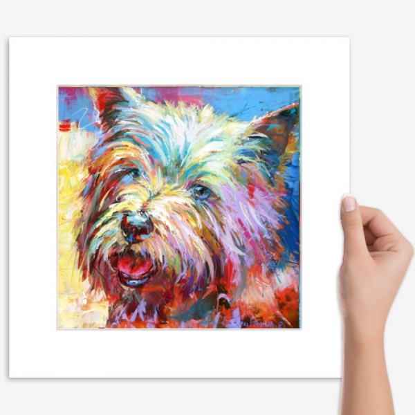 Maltese Terrier
